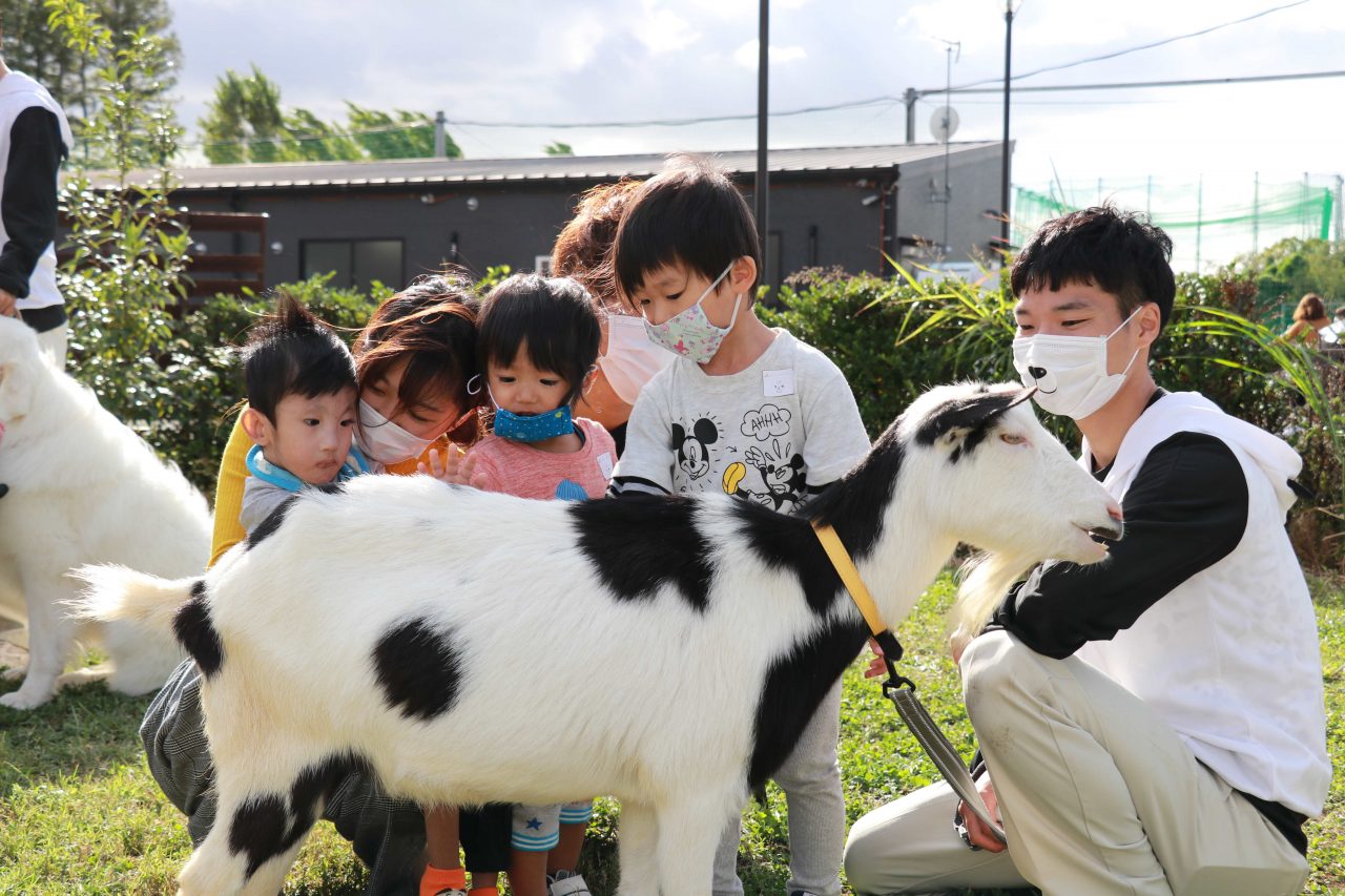 去年のイベントの様子。ヤギに触れている子どもたち