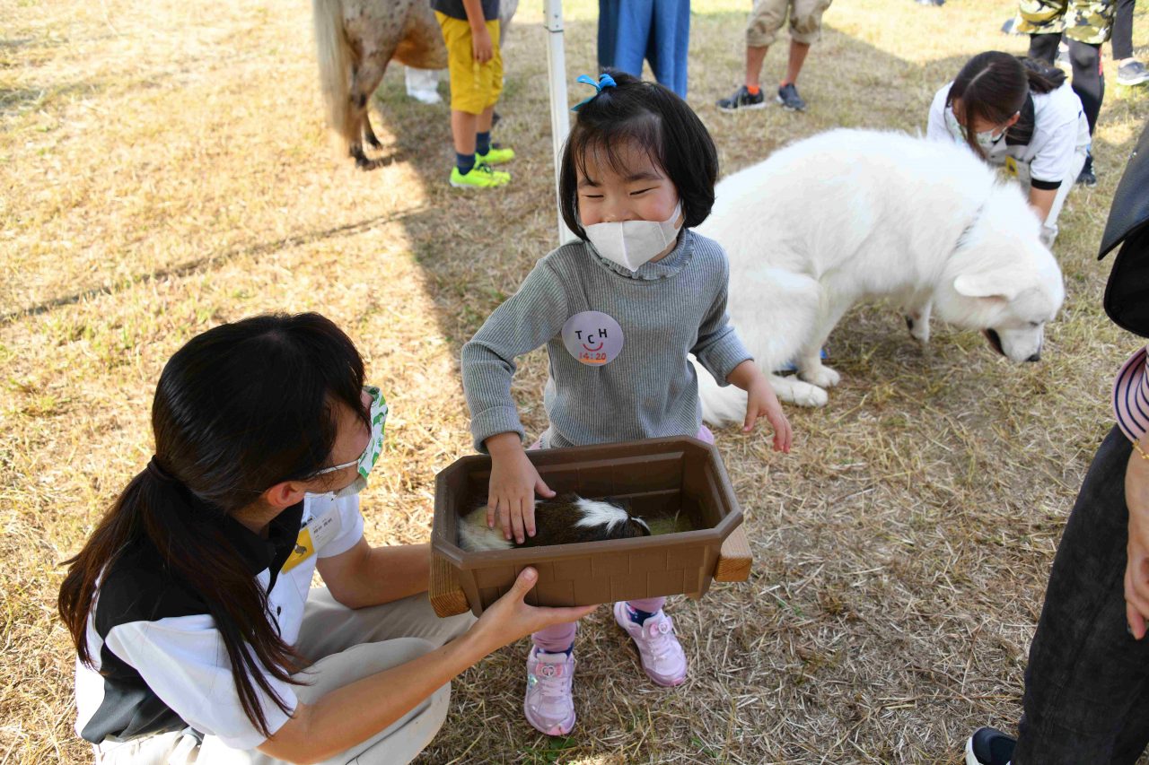 ウサギをなでる子